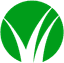 Leaf logo